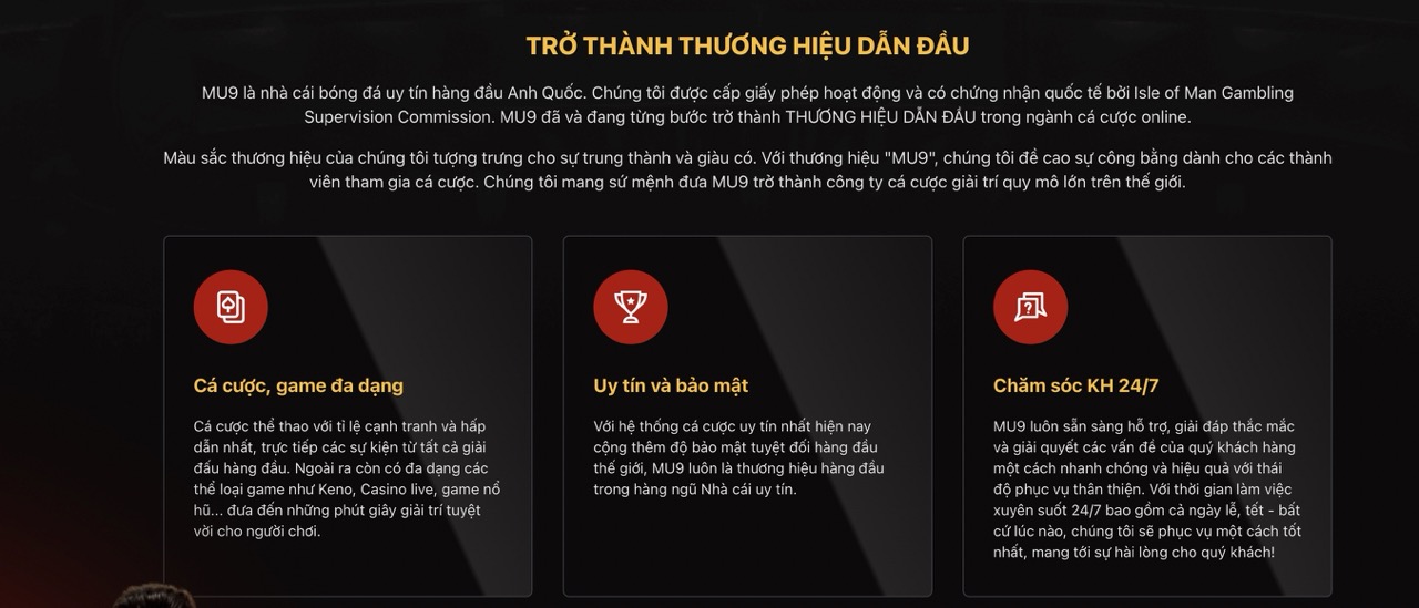 Chế độ chăm sóc khách hàng uy tín nhất thị trường cá cược online 2024