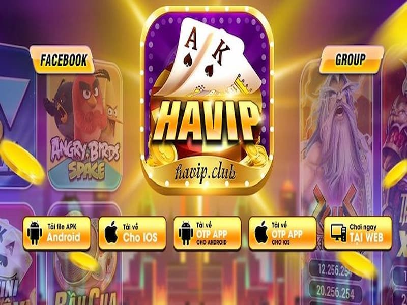 Havip Club tạo được dấu ấn nổi bật ngay từ giao diện